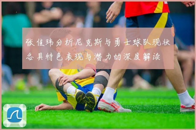 张佳玮分析尼克斯与勇士球队现状各具特色表现与潜力的深度解读