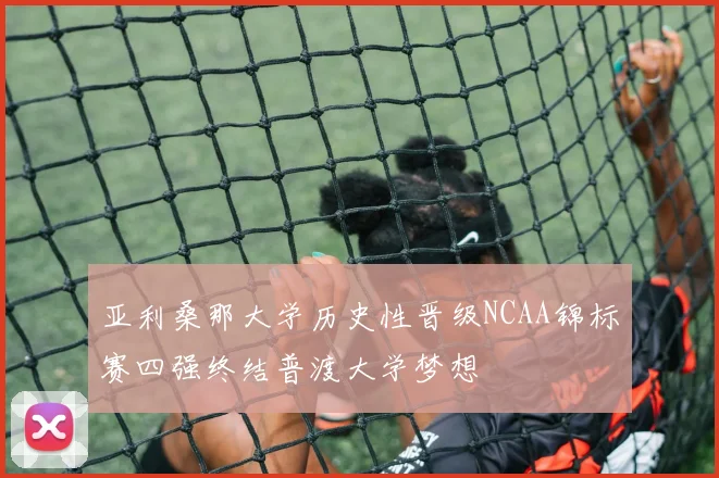 亚利桑那大学历史性晋级NCAA锦标赛四强终结普渡大学梦想